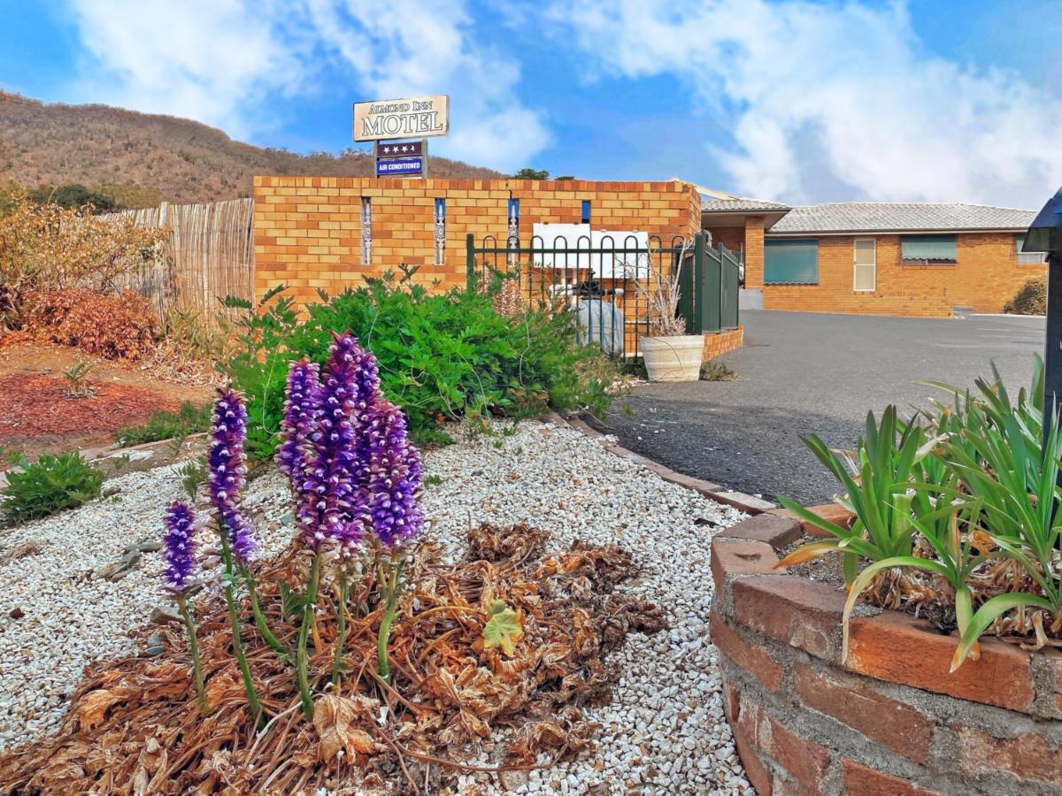 Motel Almond